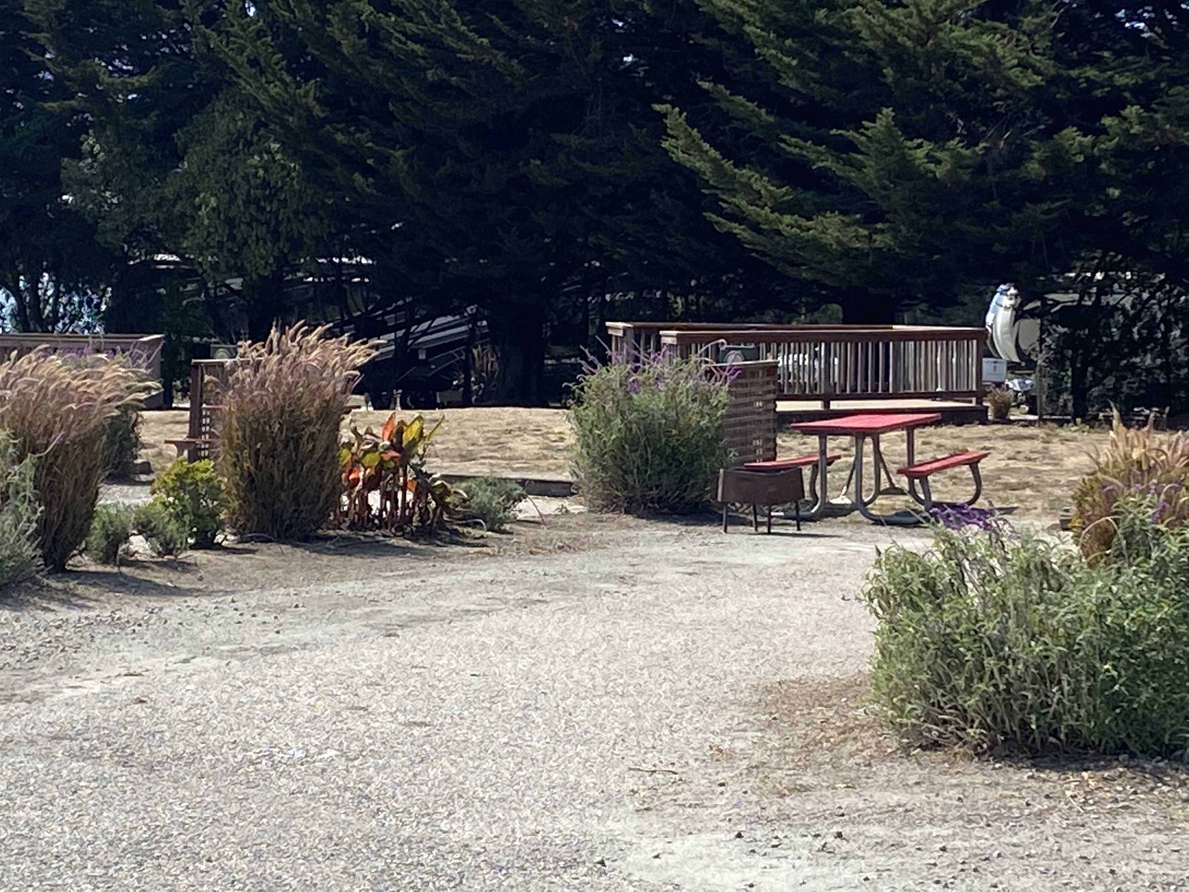 Pescadero, California RV Camping Sites Santa Cruz North / Costanoa KOA